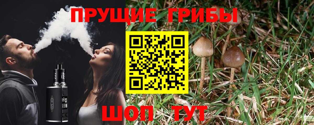 Псилоцибиновые грибы ЛСД Курчатов