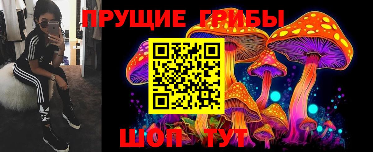 Псилоцибиновые грибы Psilocybine cubensis  Вход с VPN  Курчатов 